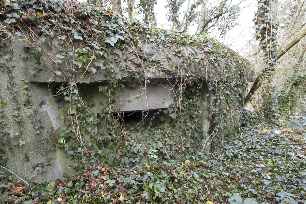 Ligne Maginot - A33 - (Blockhaus pour arme infanterie) - Le blockhaus pour deux mitrailleuses - Antoine Schoen