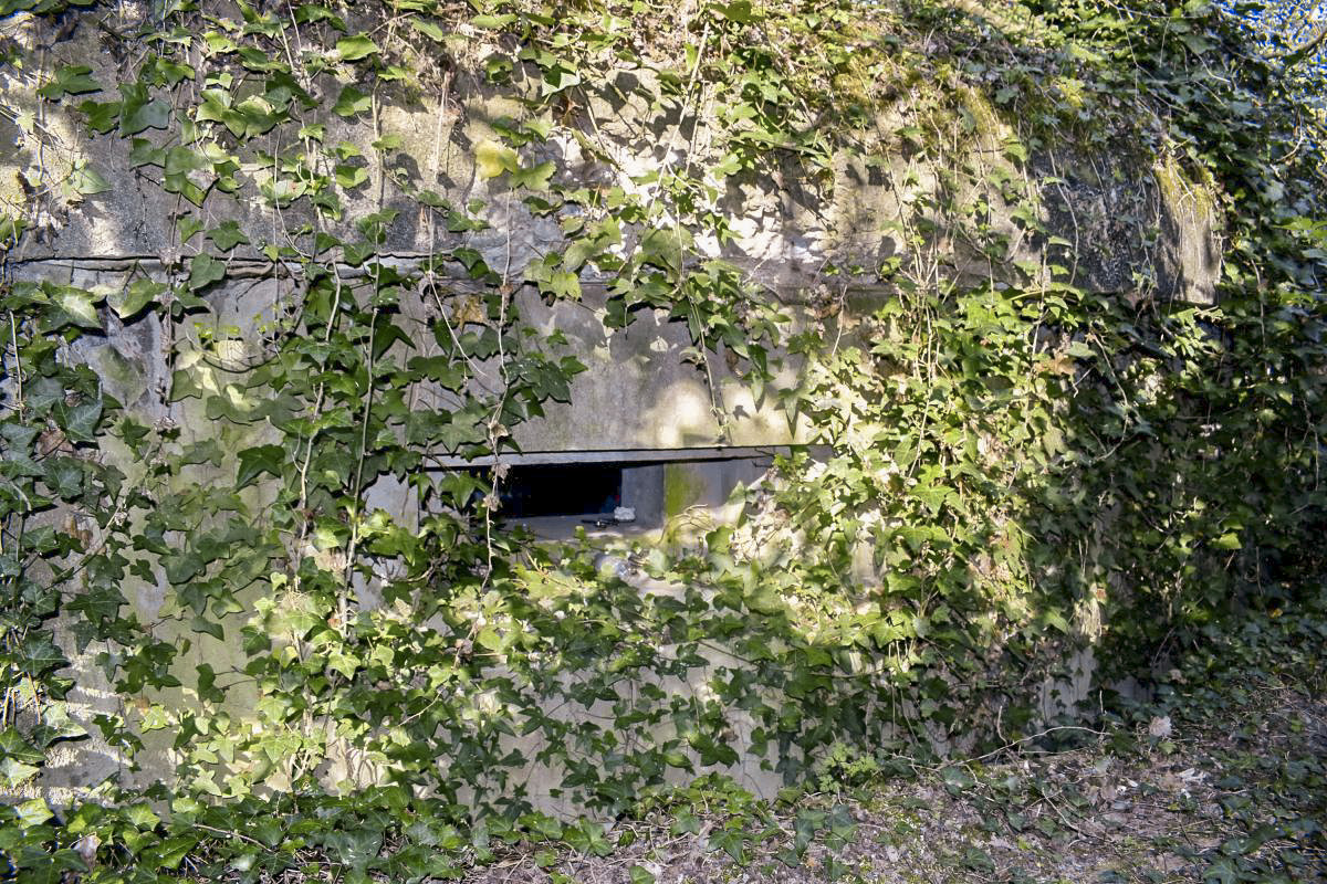 Ligne Maginot - A33 - (Blockhaus pour arme infanterie) - Embrasure de gauche - D. Froehly