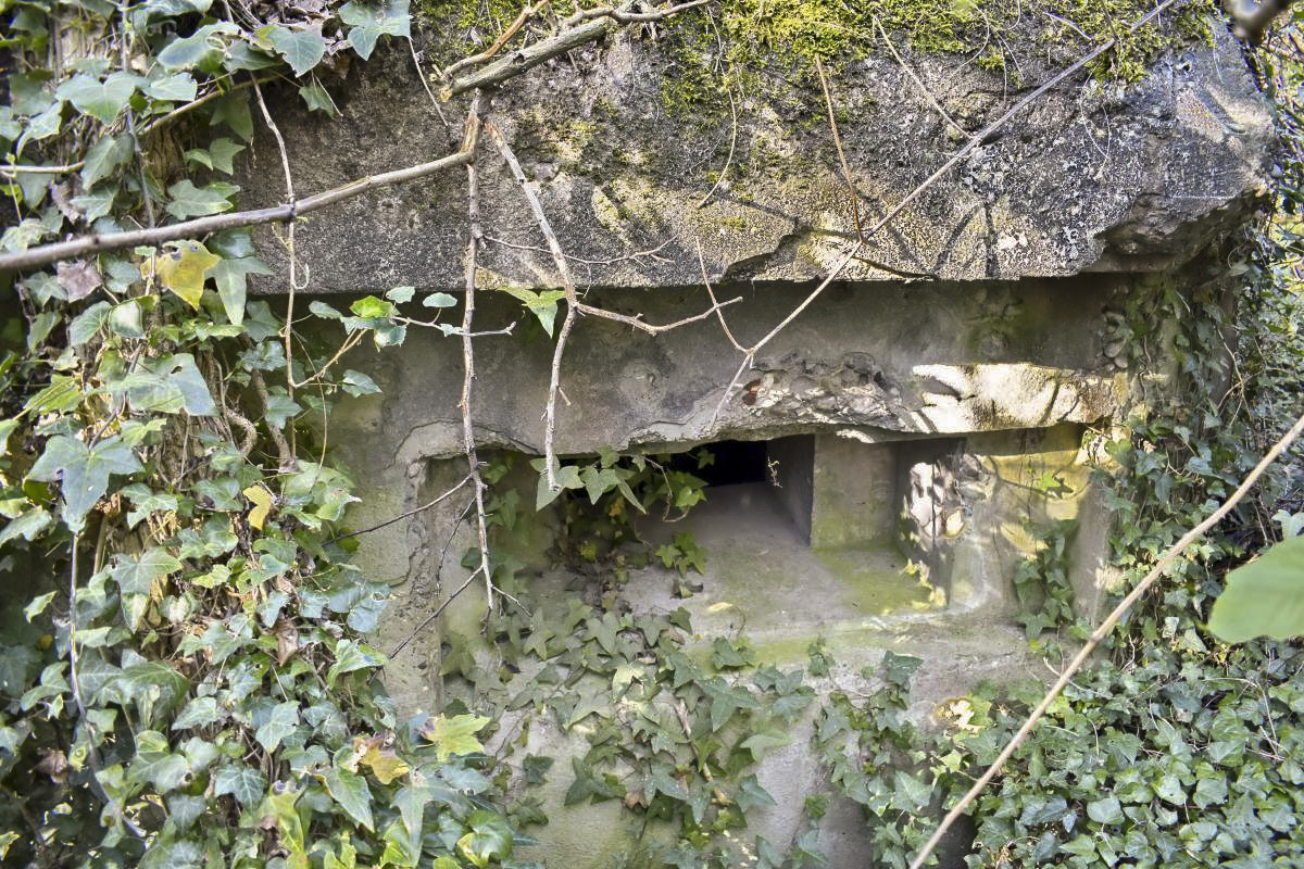 Ligne Maginot - A33 - (Blockhaus pour arme infanterie) - Embrasure de droite - D. Froehly