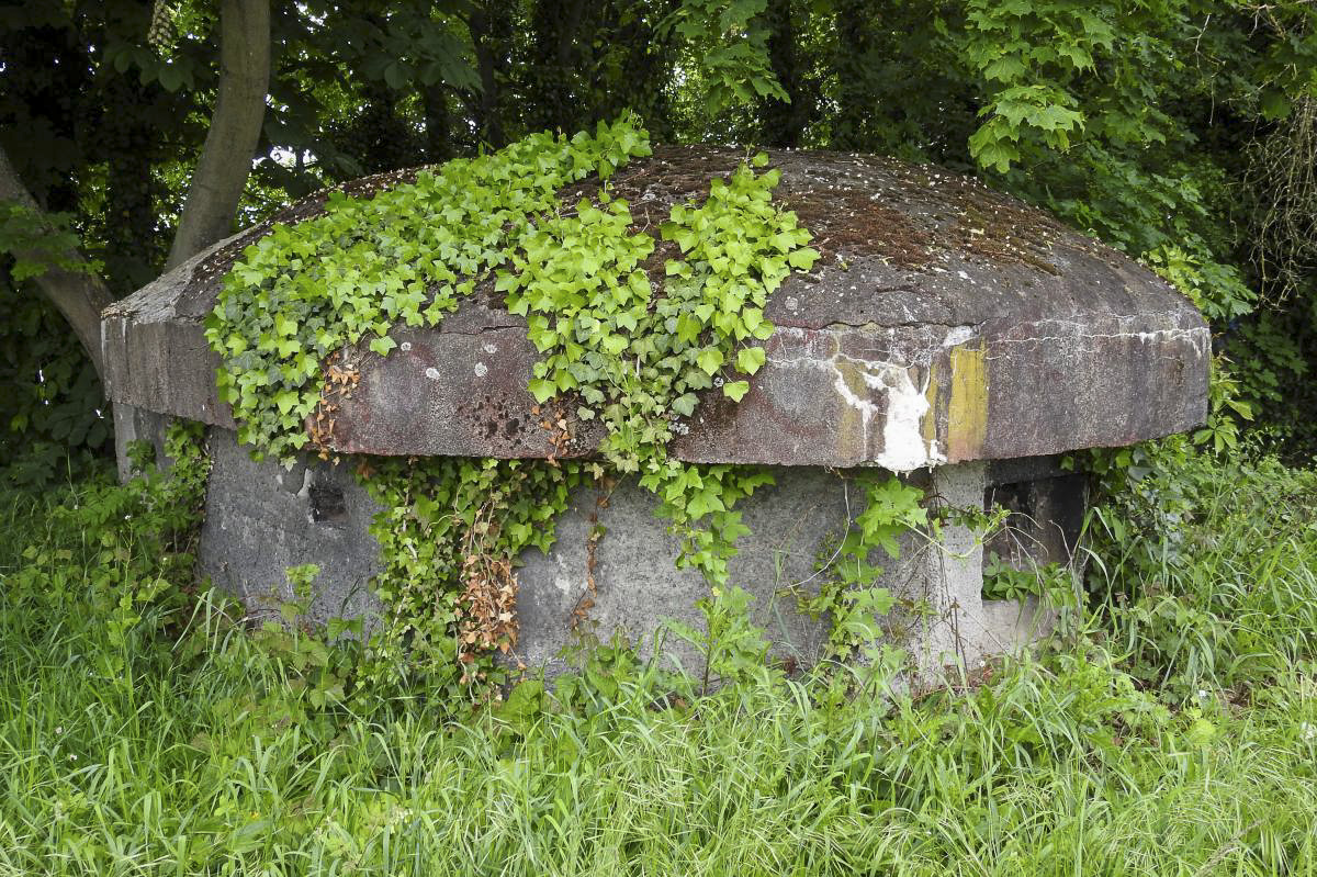Ligne Maginot - AAR - (Blockhaus pour arme infanterie) -  - Alain Perouffe