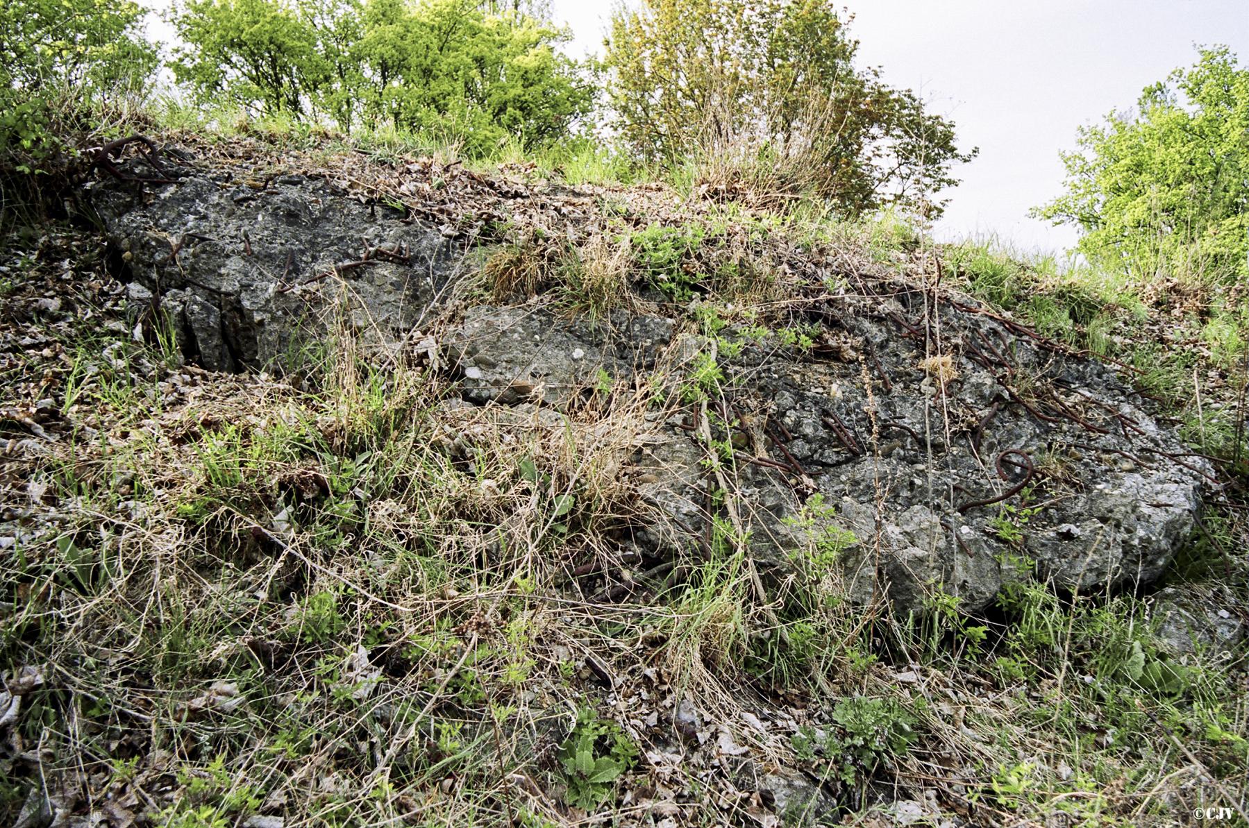 Ligne Maginot - BASSIN AUX PETROLES - (Casemate d'infanterie - Double) - Restes de béton apparents - Caspar Vermeulen