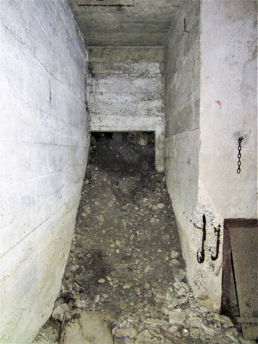 Ligne Maginot - BASSIN DE L'INDUSTRIE - (Casemate d'infanterie - Double) - Un second accès vers la berge comblé  - Les Gardiens du Rhin
