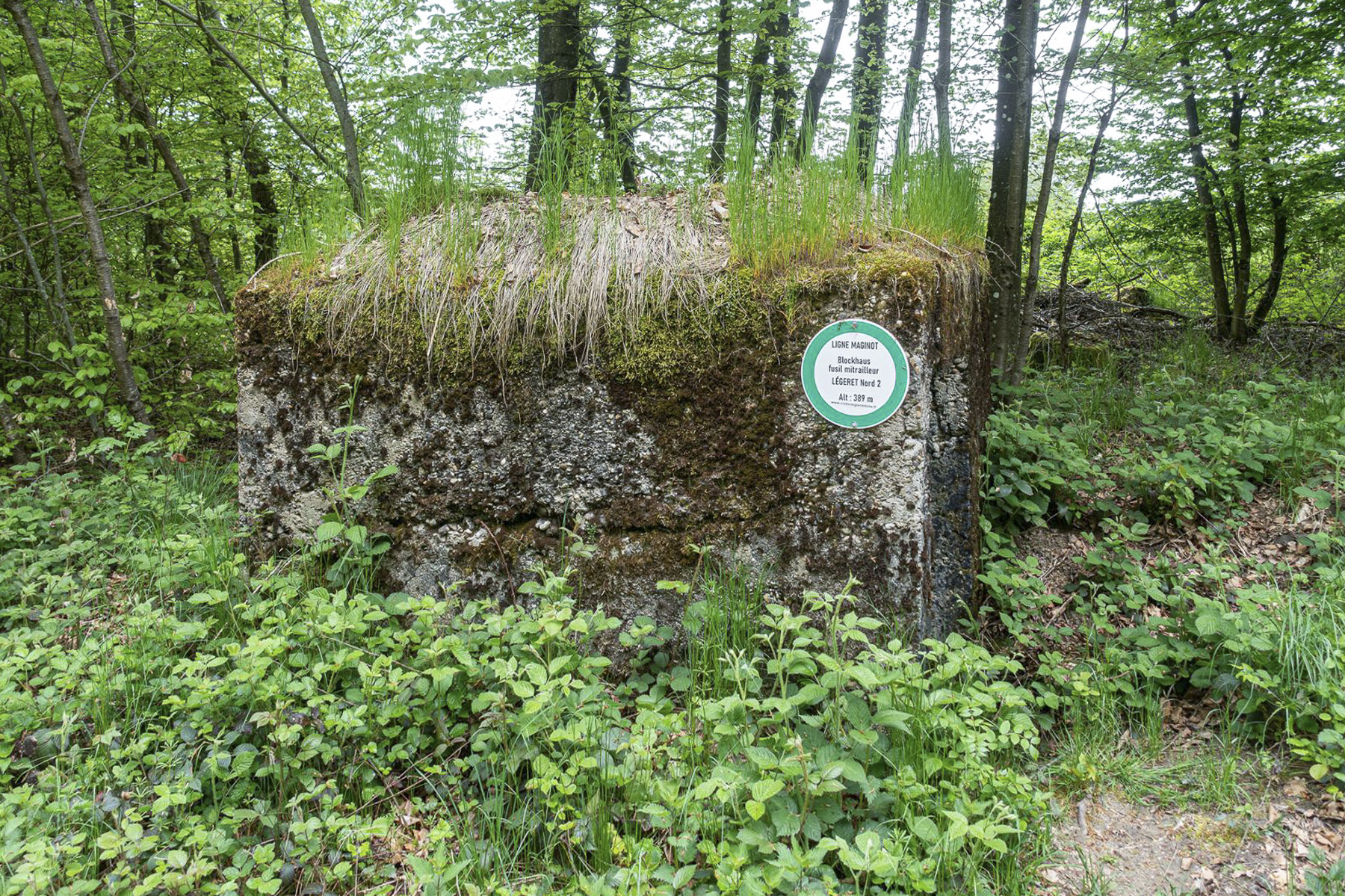 Ligne Maginot - LEGERET NORD 5 - GM2 - (Blockhaus pour arme infanterie) -  - David Palmer