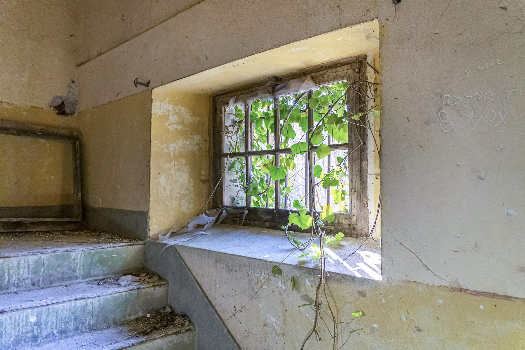 Ligne Maginot - LEMBACH - (Camp de sureté) - Escaliers - David Palmer