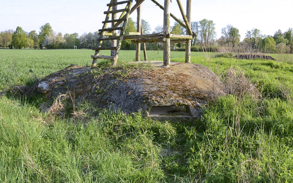 Ligne Maginot - COUR D'ANGLETERRE 1 - (Blockhaus pour arme infanterie) - Vue du coté créneaux.
Le second blockhaus est visible à l'arriere plan (Cour d'Angleterre 1) - Pascal LAMBERT