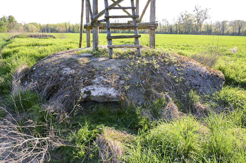 Ligne Maginot - COUR D'ANGLETERRE 1 - (Blockhaus pour arme infanterie) - Vue du second créneau - Pascal LAMBERT