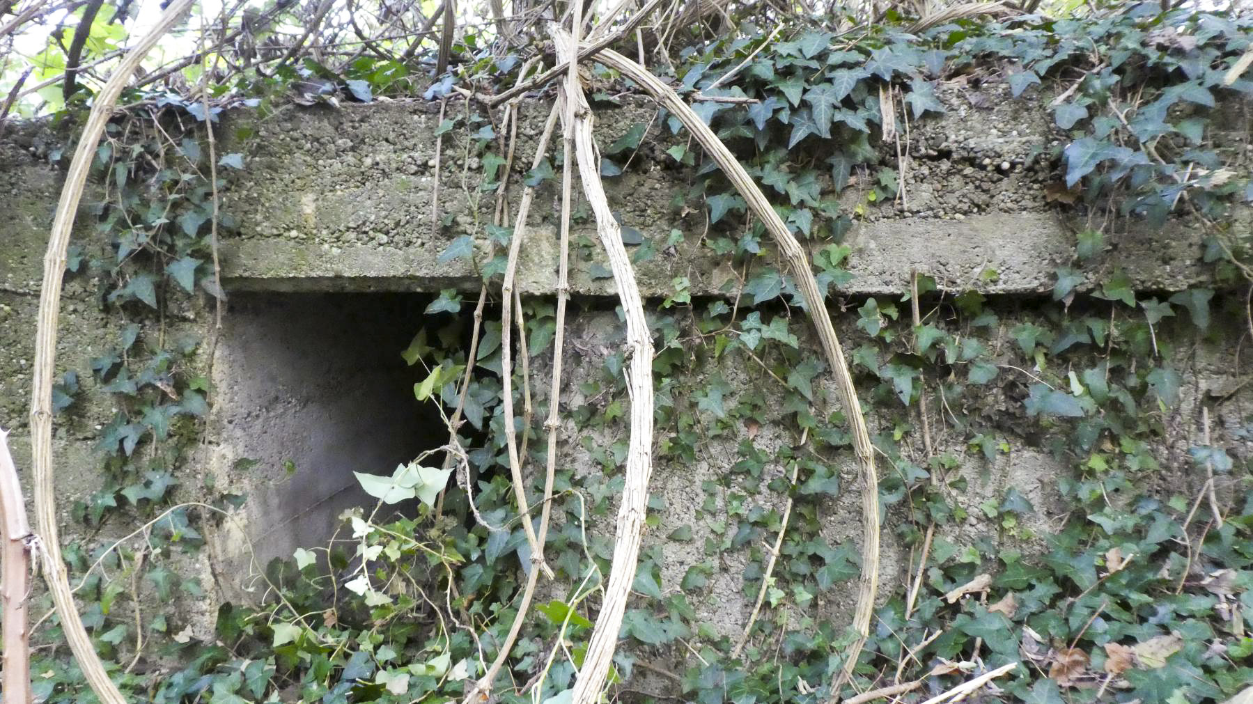 Ligne Maginot - FEIL 3 - (Abri) -  - Roo
