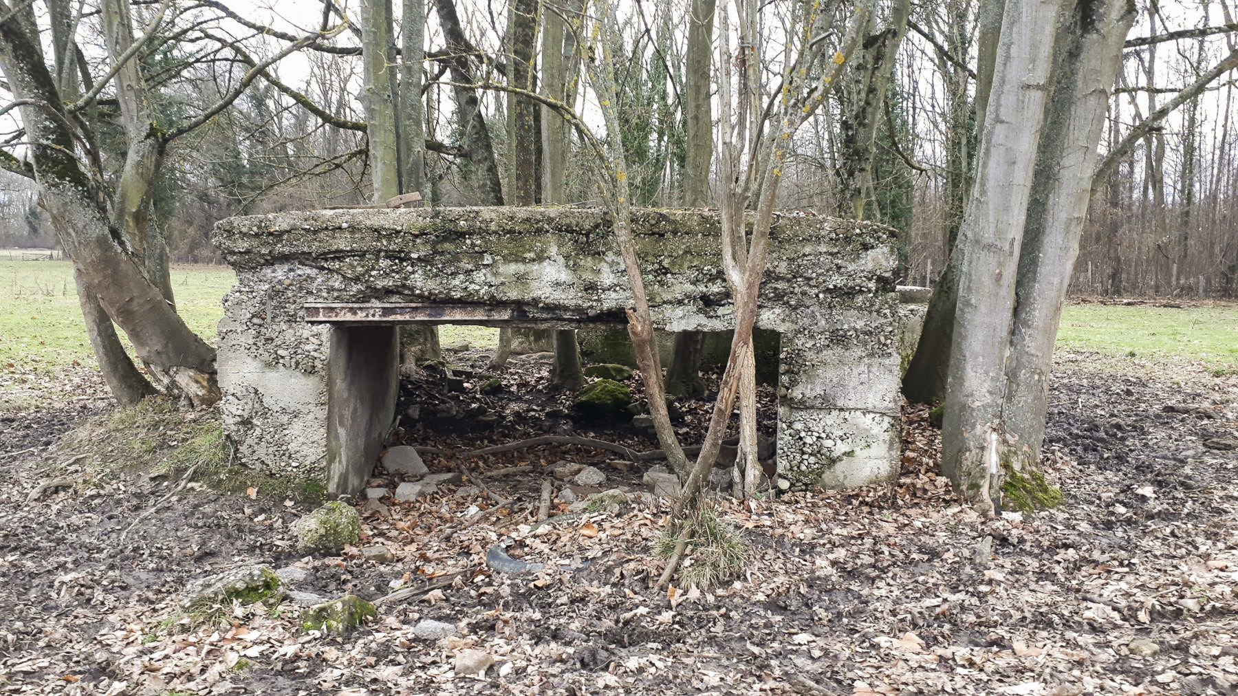 Ligne Maginot - GROSSBELTZWOERTH EST - (Blockhaus pour canon) - Vue frontale - Les Gardiens du Rhin