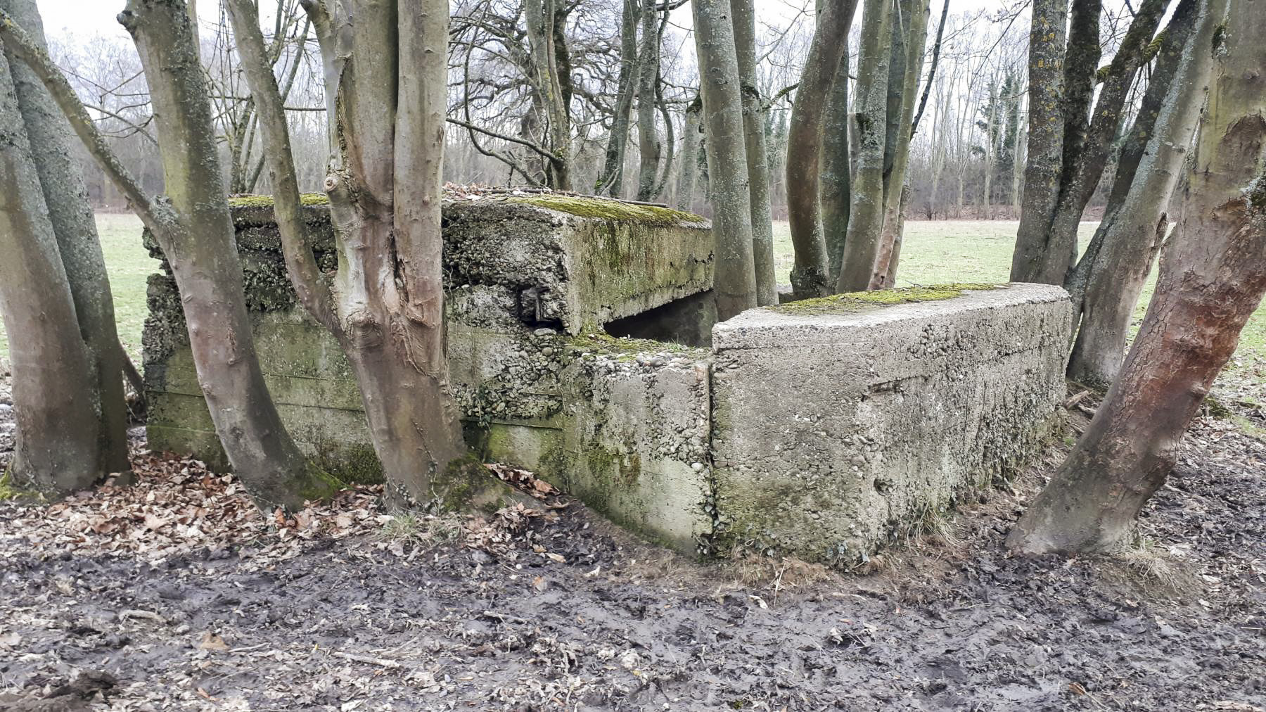 Ligne Maginot - GROSSBELTZWOERTH EST - (Blockhaus pour canon) - Vue coté gauche - Les Gardiens du Rhin