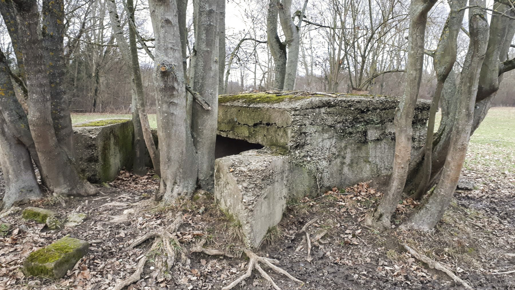 Ligne Maginot - GROSSBELTZWOERTH EST - (Blockhaus pour canon) - Vue coté droit - Les Gardiens du Rhin