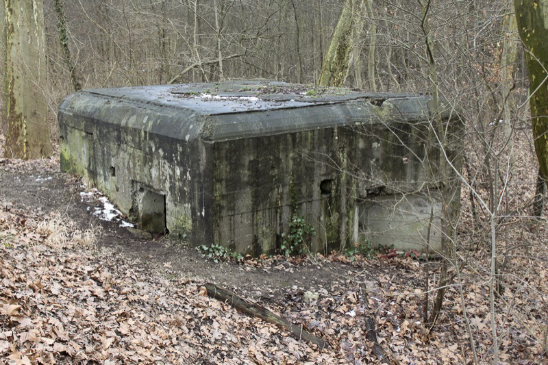 Ligne Maginot - HAUTE DIGUE 2 - (Blockhaus pour arme infanterie) -  - Les Gardiens du Rhin