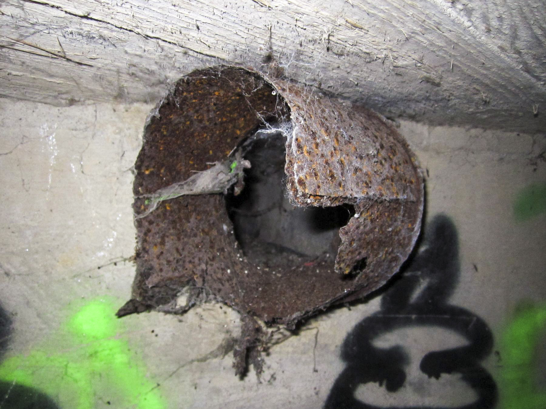 Ligne Maginot - HAUTE DIGUE 2 - (Blockhaus pour arme infanterie) - Chambre de tir
Conduit de ventilation au-dessus du créneau mitrailleuse gauche - G.Fuchs