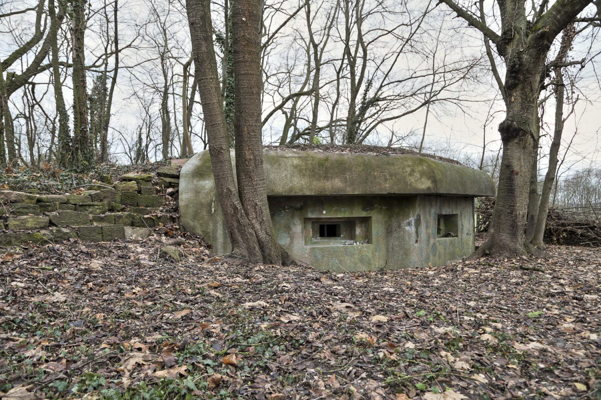 Ligne Maginot - I6 - (Blockhaus pour arme infanterie) - Le blockhaus pour deux mitrailleuses
Une partie de l'empierrement est encore visible à gauche - Antoine Schoen