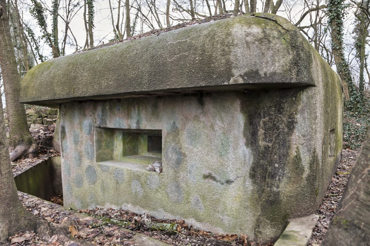 Ligne Maginot - I6 - (Blockhaus pour arme infanterie) - Créneaux mitrailleuse de gauche et fossé diamant - Antoine Schoen