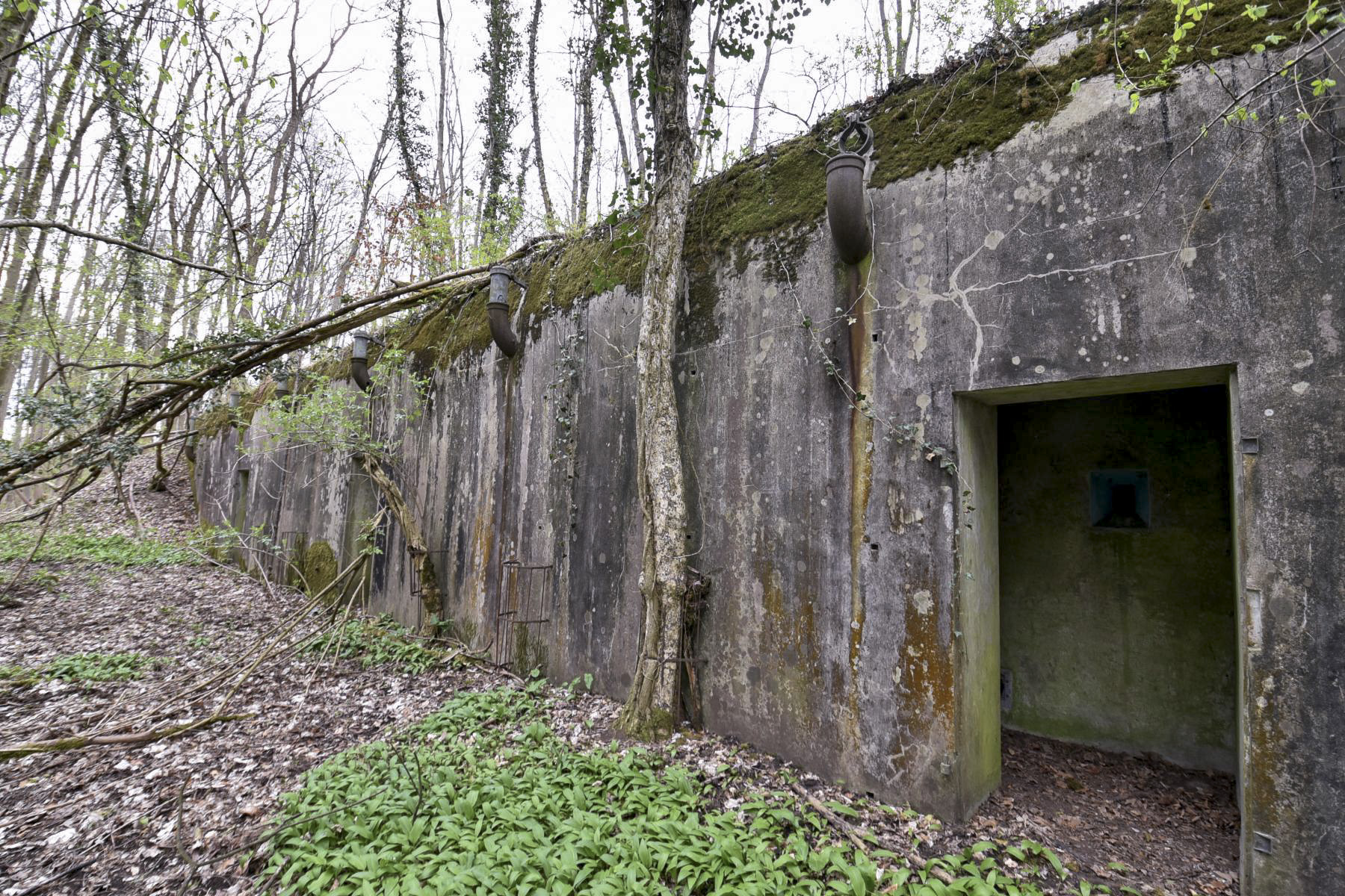 Ligne Maginot - I95 - (Abri) -  - Ludovic KNAPP