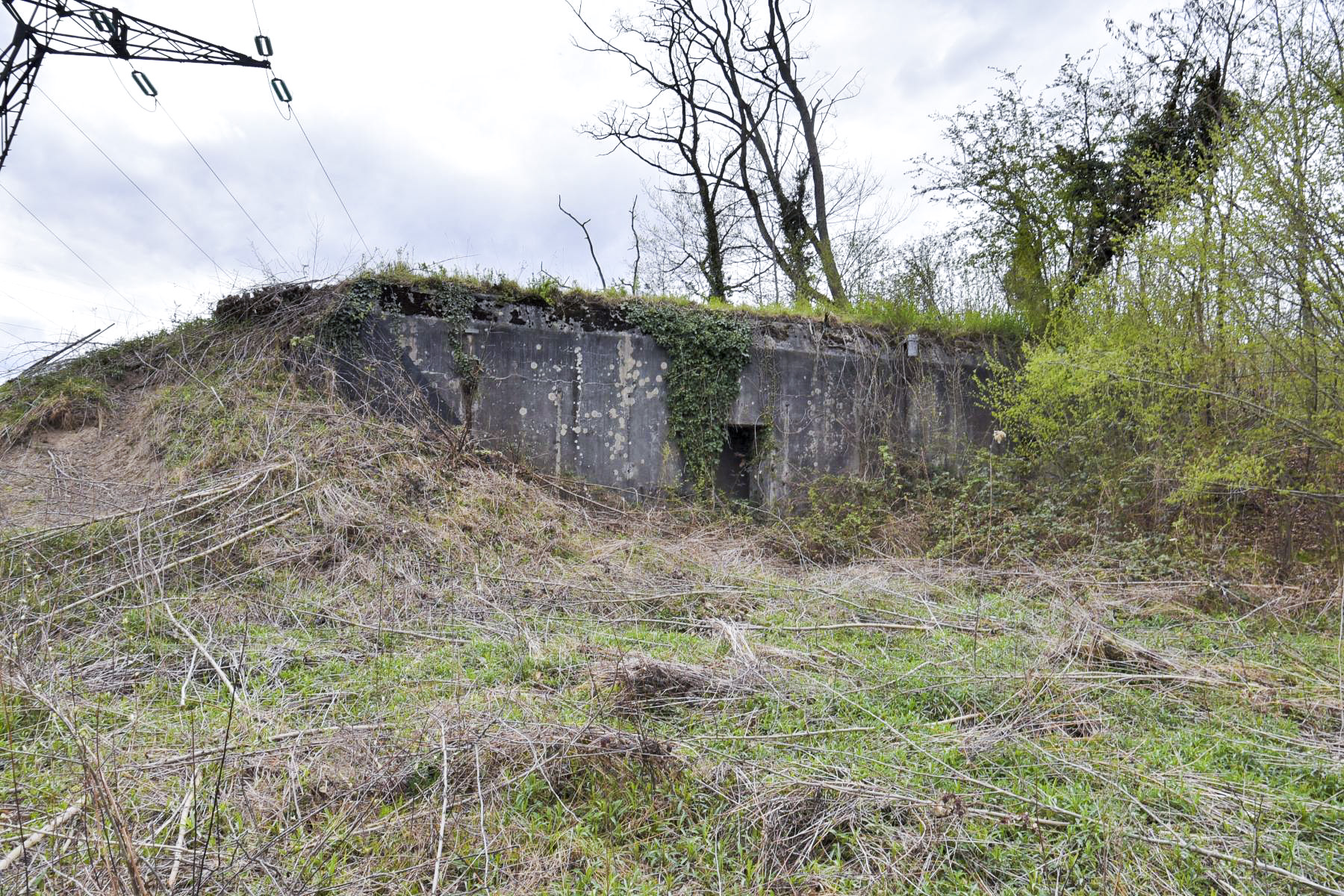 Ligne Maginot - I96 - (Abri) -  - Ludovic KNAPP