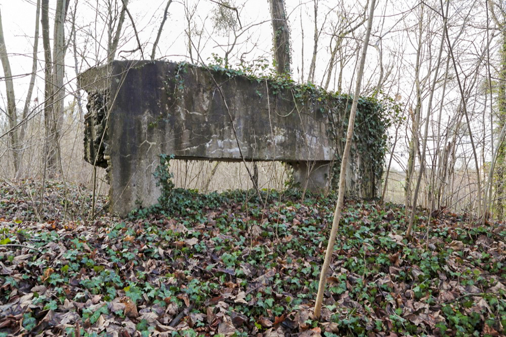 Ligne Maginot - NEUF-EMPERT 1 - Face frontale du bouclier - Les Gardiens du Rhin