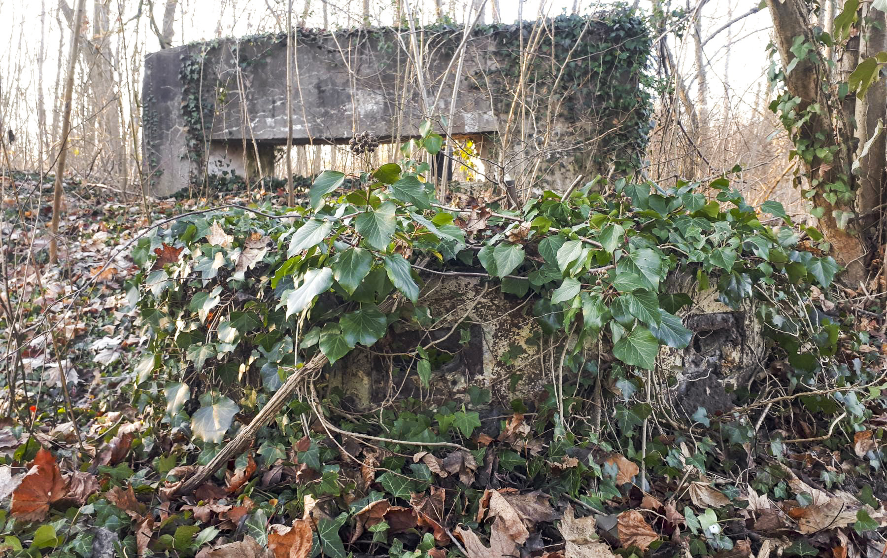 Ligne Maginot - NEUF-EMPERT 1 - (Cuve pour canon) - Guérite escargot bétonnée par les français, devant le bouclier pour canon AC - Les Gardiens du Rhin