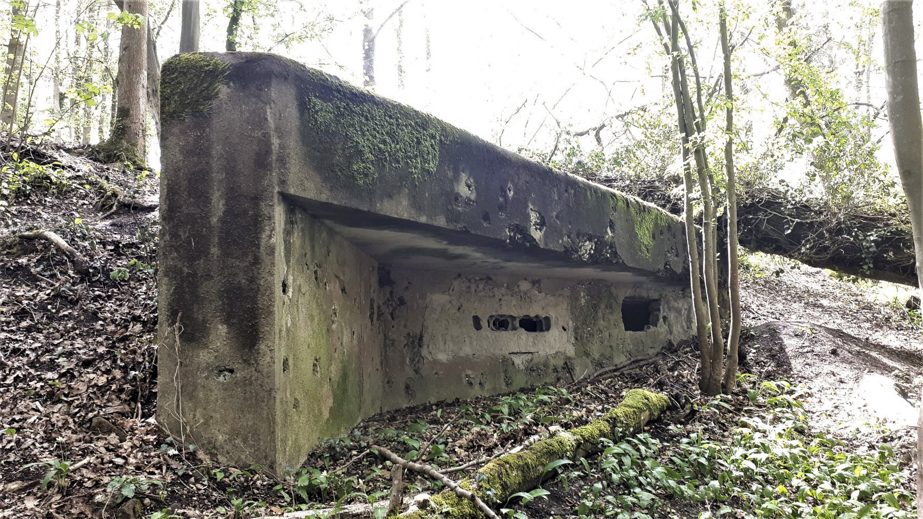 Ligne Maginot - OBERJAEGERHOFF - (Abri) - La chambre de tir pour mitrailleuses - Gregory Fuchs