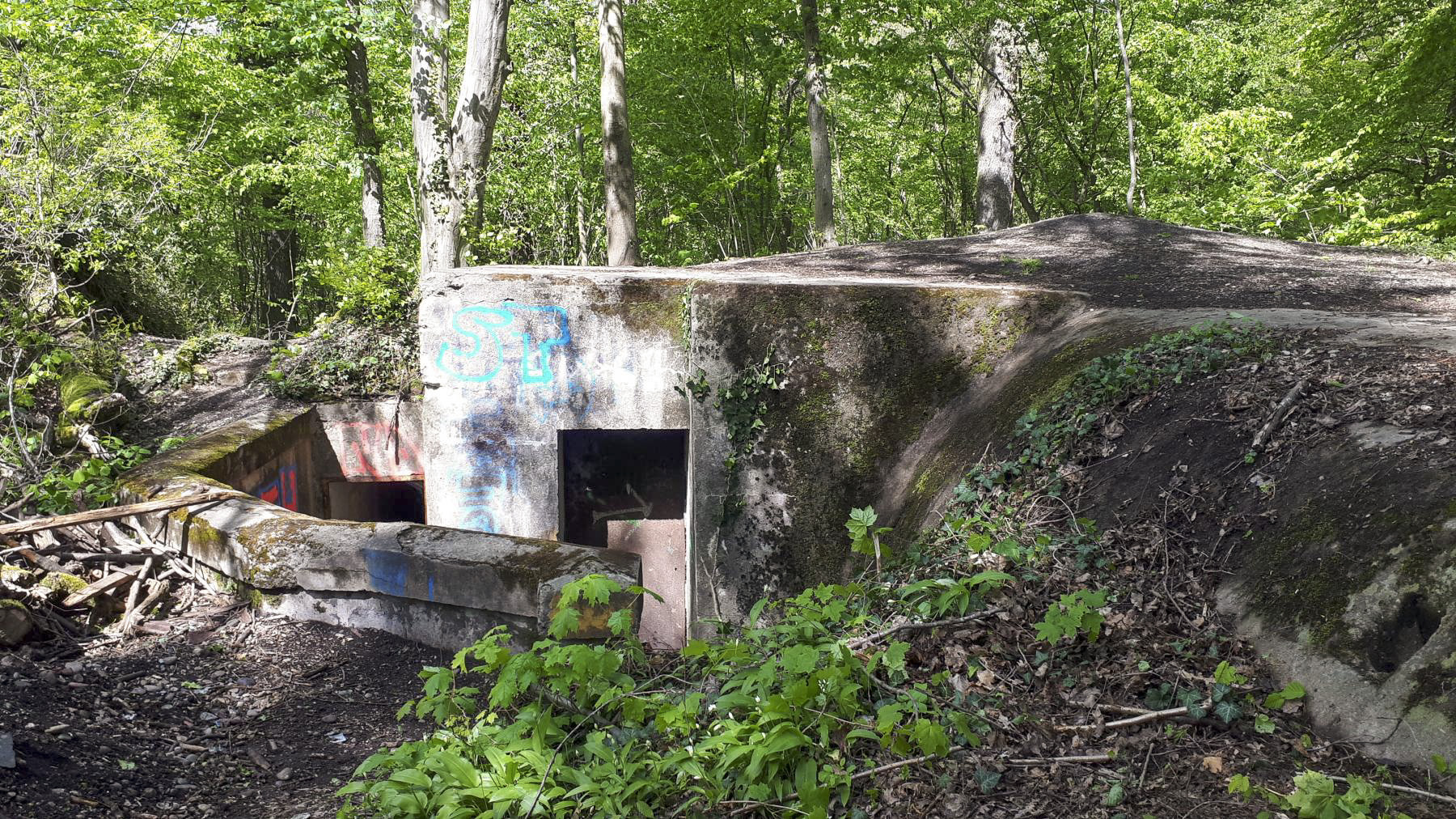 Ligne Maginot - OBERJAEGERHOFF - (Abri) - A droite, l'entrée du PC
Au fond à gauche, l'entrée de la chambre de tir - Gregory Fuchs