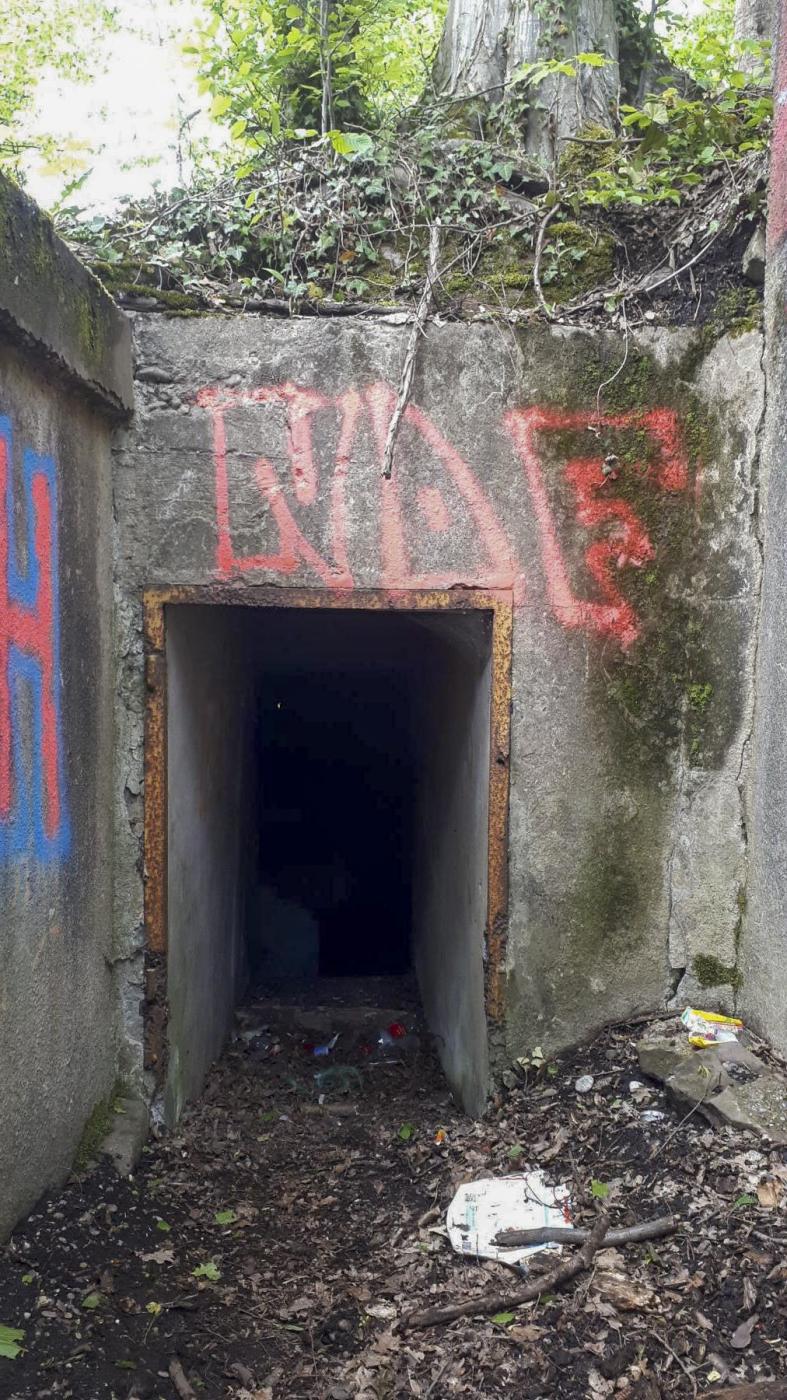 Ligne Maginot - OBERJAEGERHOFF - (Abri) - L'entrée de la chambre de tir pour mitrailleuses - Gregory Fuchs