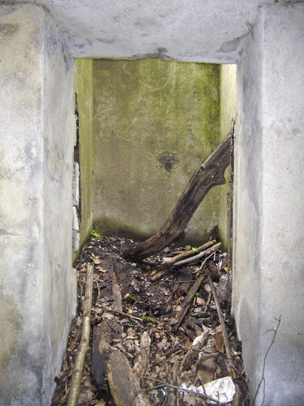 Ligne Maginot - OBERJAEGERHOFF - (Abri) - Sortie de secours - Gregory Fuchs