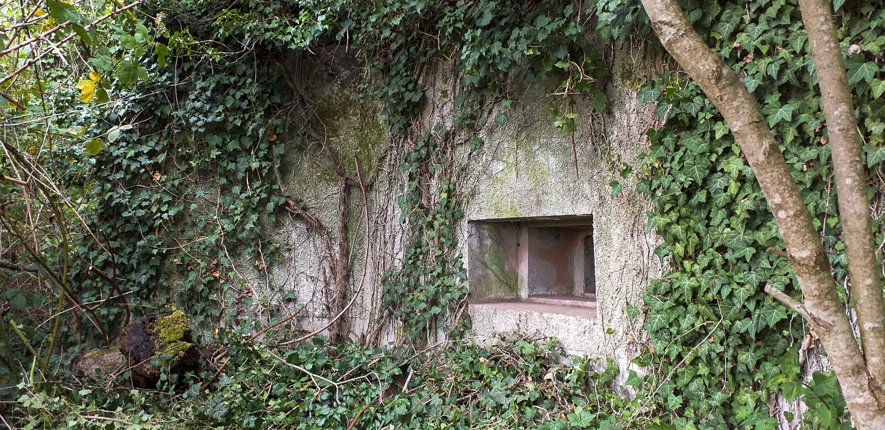 Ligne Maginot - OBSERVATOIRE EST DES CERISIERS - (Blockhaus pour arme infanterie) - Créneau Est (observatoire) - Gregory Fuchs