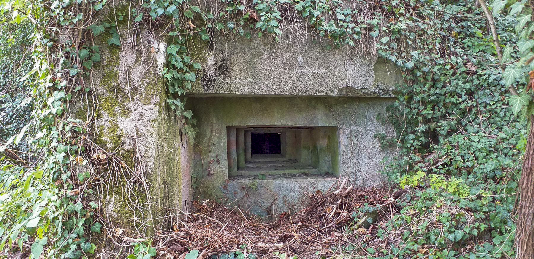 Ligne Maginot - OBSERVATOIRE EST DES CERISIERS - (Blockhaus pour arme infanterie) - Créneau mitrailleuse Nord-Est - Gregory Fuchs