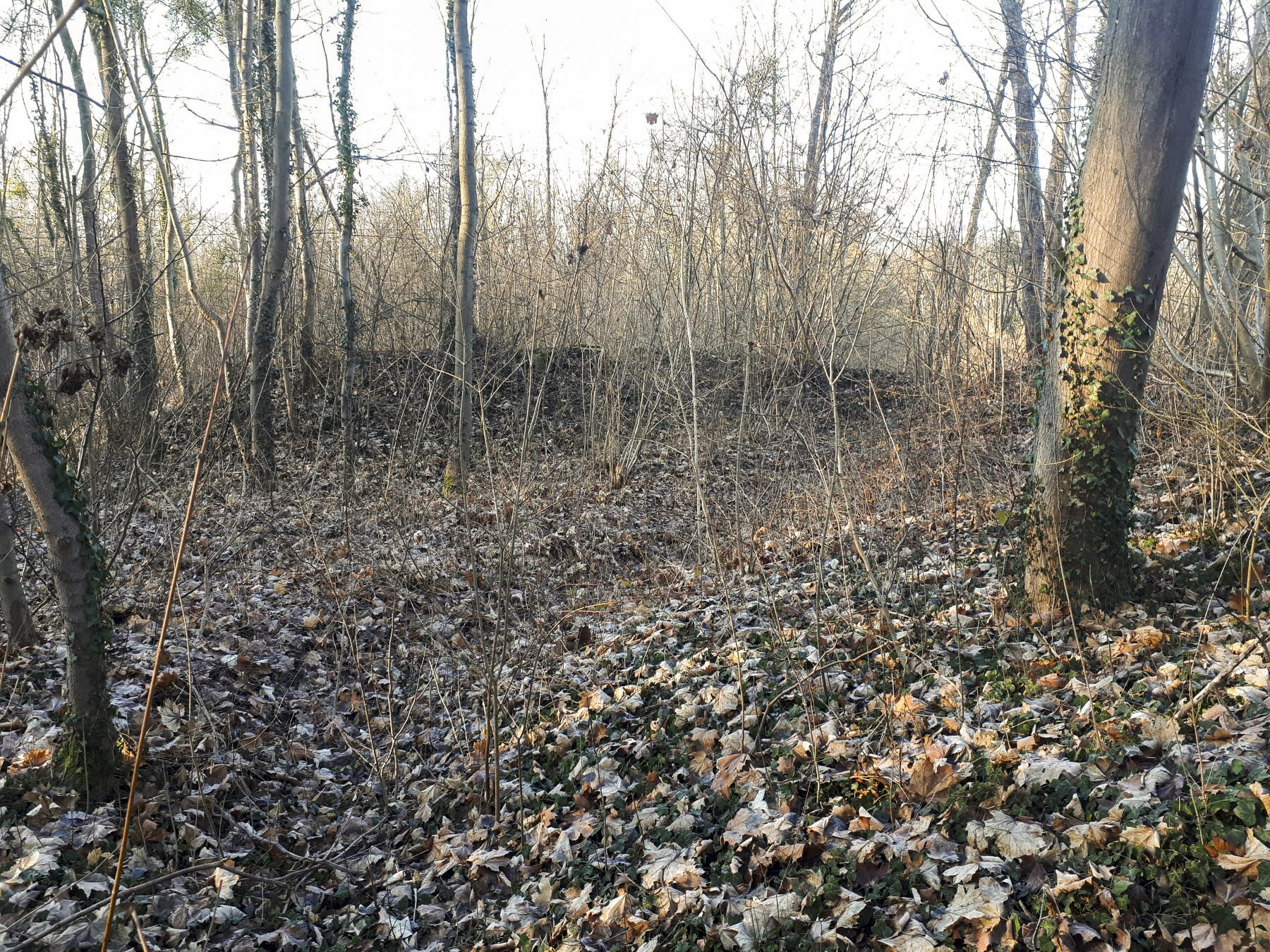 Ligne Maginot - OUVRAGE NEUF-EMPERT - (Ouvrage d'infanterie) - Parapet du flanc gauche (tranchée française) - Les Gardiens du Rhin