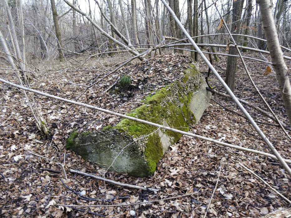 Ligne Maginot - PORT DU RHIN SUD 10 - (Blockhaus pour arme infanterie) - Vestige du blockhaus - Lionnel SPERANDIO