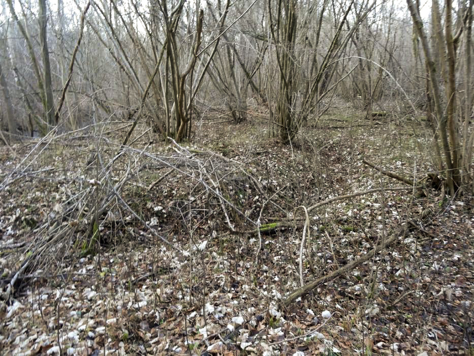 Ligne Maginot - PORT DU RHIN SUD 11 - (Blockhaus pour arme infanterie) - Tranchée d'accès au bloc - Lionnel SPERANDIO