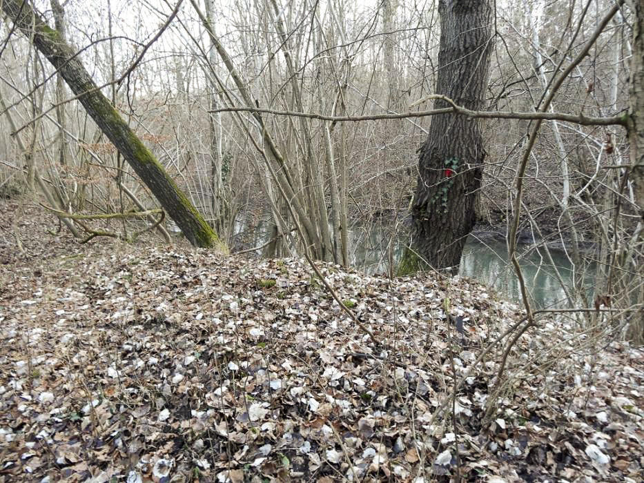 Ligne Maginot - PORT DU RHIN SUD 11 - (Blockhaus pour arme infanterie) - Emplacement du bloc, de nombreux débris de béton sont visibles sur le monticule à l’extrémité de la digue - Lionnel SPERANDIO