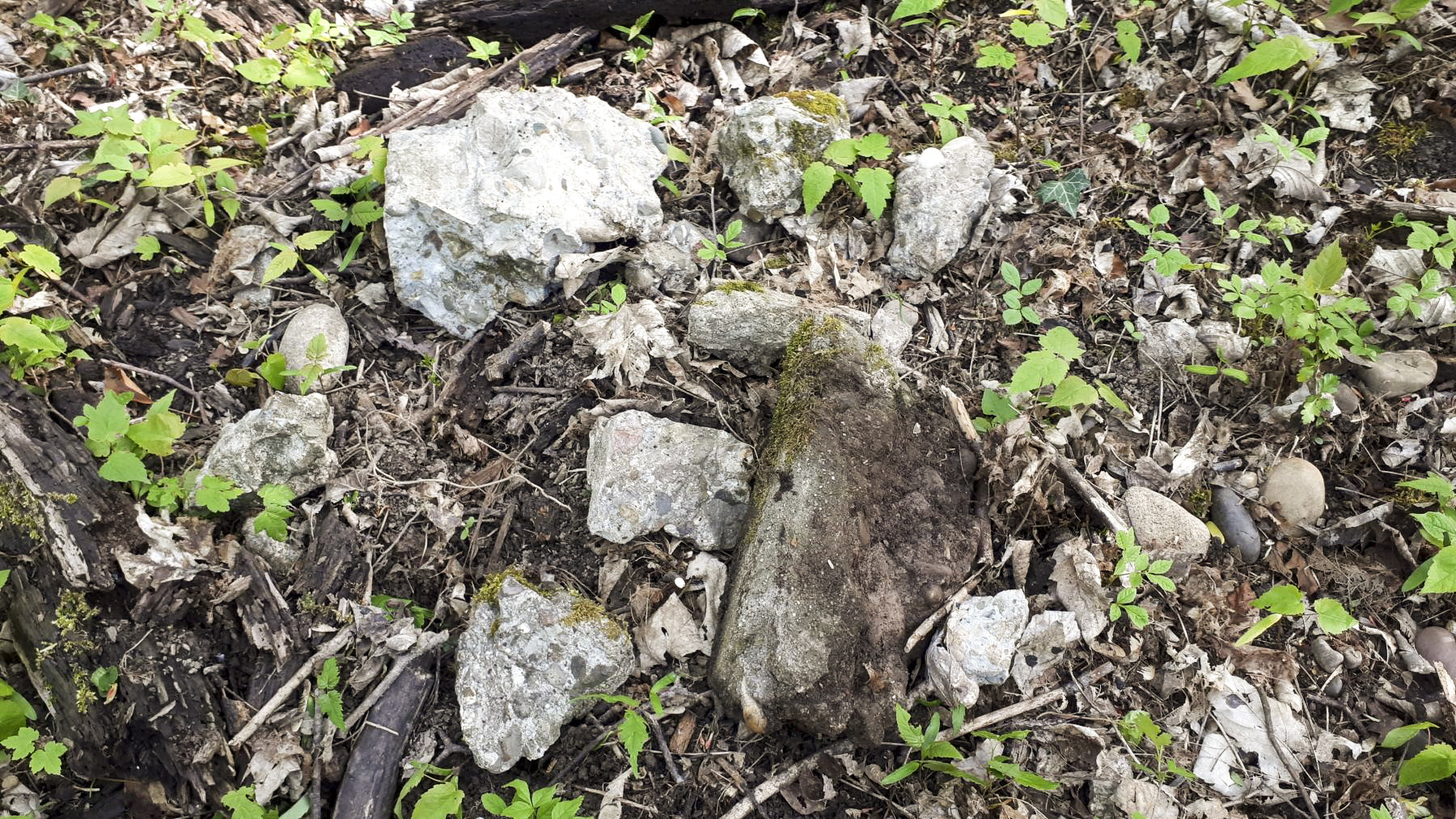 Ligne Maginot - PORT DU RHIN SUD 12 - (Blockhaus pour arme infanterie) - Fragments de béton - G.Fuchs
