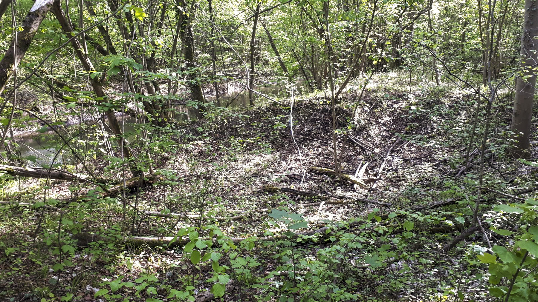 Ligne Maginot - PORT DU RHIN SUD 12 - (Blockhaus pour arme infanterie) - Emplacement du blockhaus sur la rive du Brunnenwasser - G.Fuchs