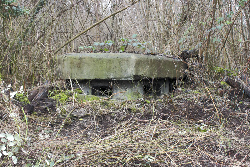 Ligne Maginot - PORT du RHIN Sud 21 ( Blockhaus pour arme infanterie ) - Vue extérieure - Les Gardiens du Rhin