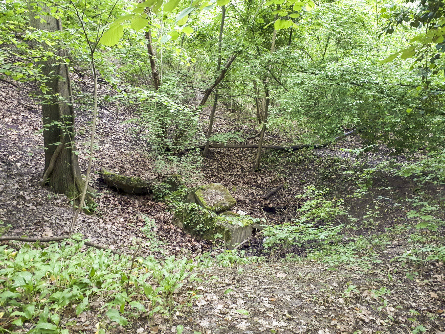 Ligne Maginot - PORT DU RHIN SUD 32BIS - (Blockhaus de type indéterminé) - Morceaux de béton dans un cratère - Les Gardiens du Rhin