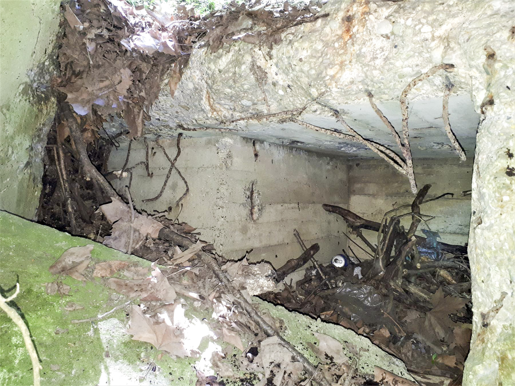 Ligne Maginot - PORT DU RHIN SUD 32BIS - (Blockhaus de type indéterminé) - Restes du bloc - Les Gardiens du Rhin