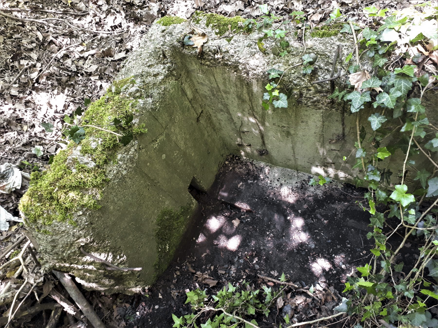 Ligne Maginot - PORT DU RHIN SUD 32BIS - (Blockhaus de type indéterminé) - Le premier créneau visible, curieusement placé en coin - Les Gardiens du Rhin