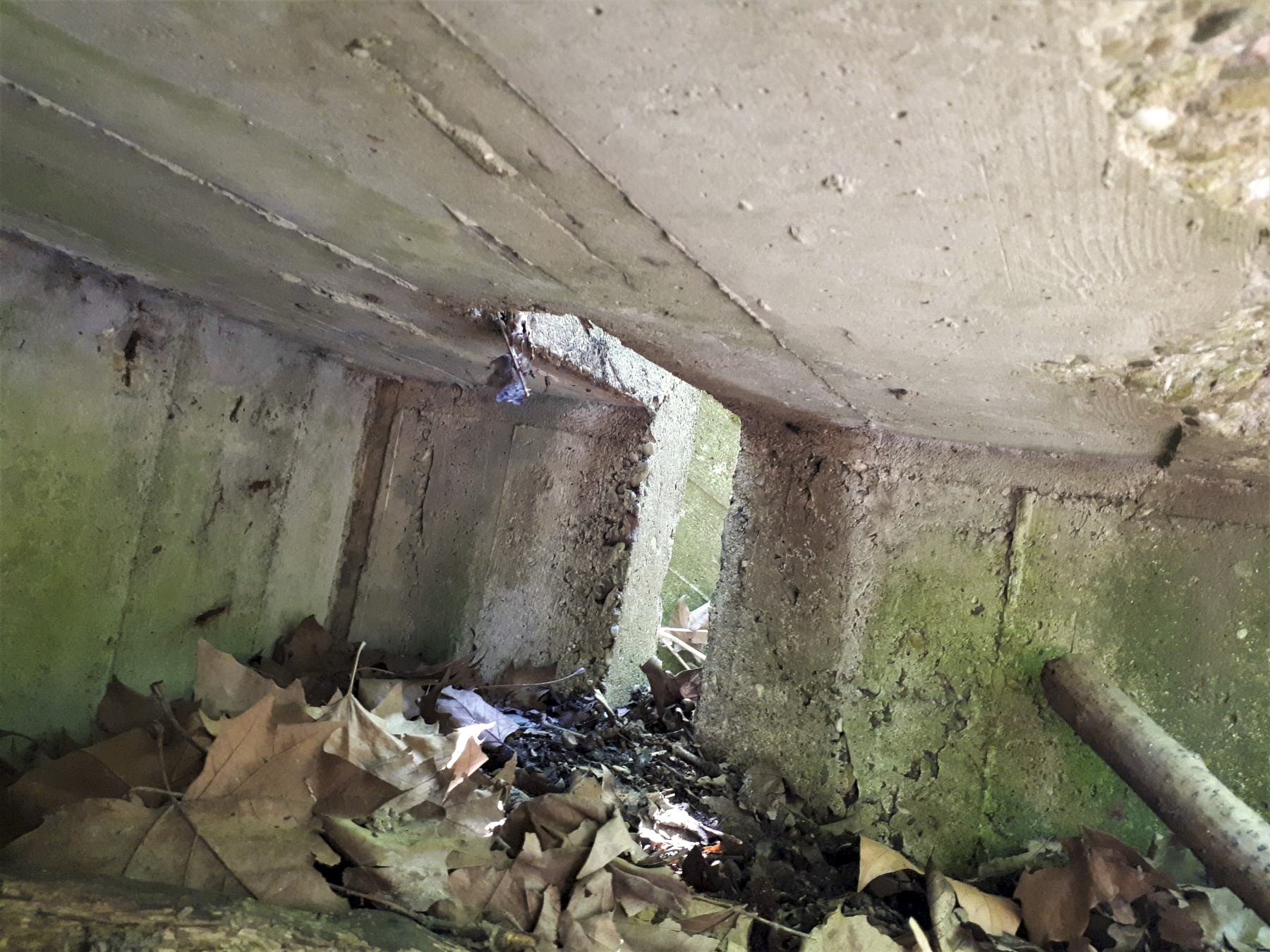 Ligne Maginot - PORT DU RHIN SUD 32BIS - (Blockhaus de type indéterminé) - Le second créneau visible, curieusement placé en coin - Les Gardiens du Rhin