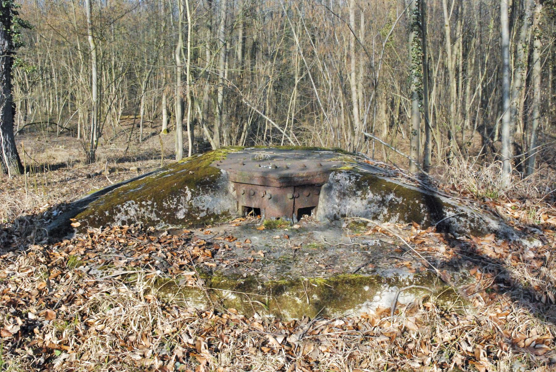 Ligne Maginot - RHIN TORTU - (Observatoire d'infanterie) -  - Ludovic KNAPP