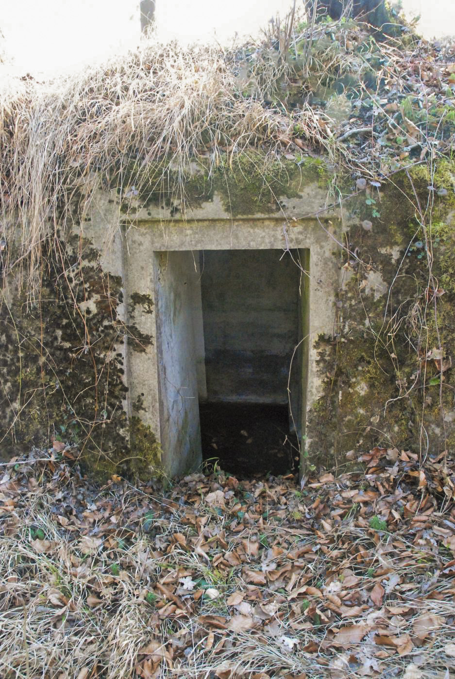 Ligne Maginot - RHIN TORTU - (Observatoire d'infanterie) -  - Ludovic KNAPP
