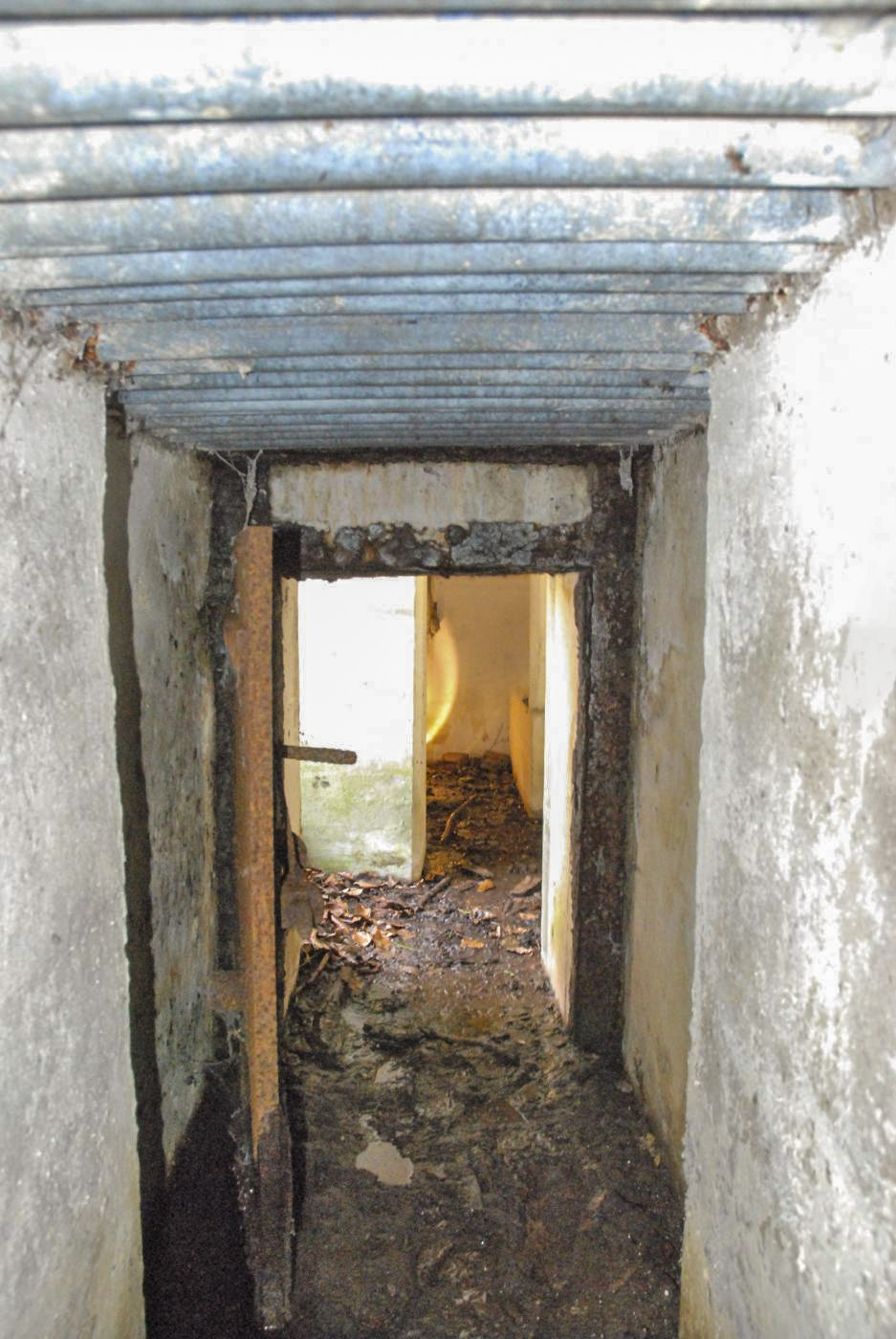 Ligne Maginot - RHIN TORTU - (Observatoire d'infanterie) -  - Ludovic KNAPP