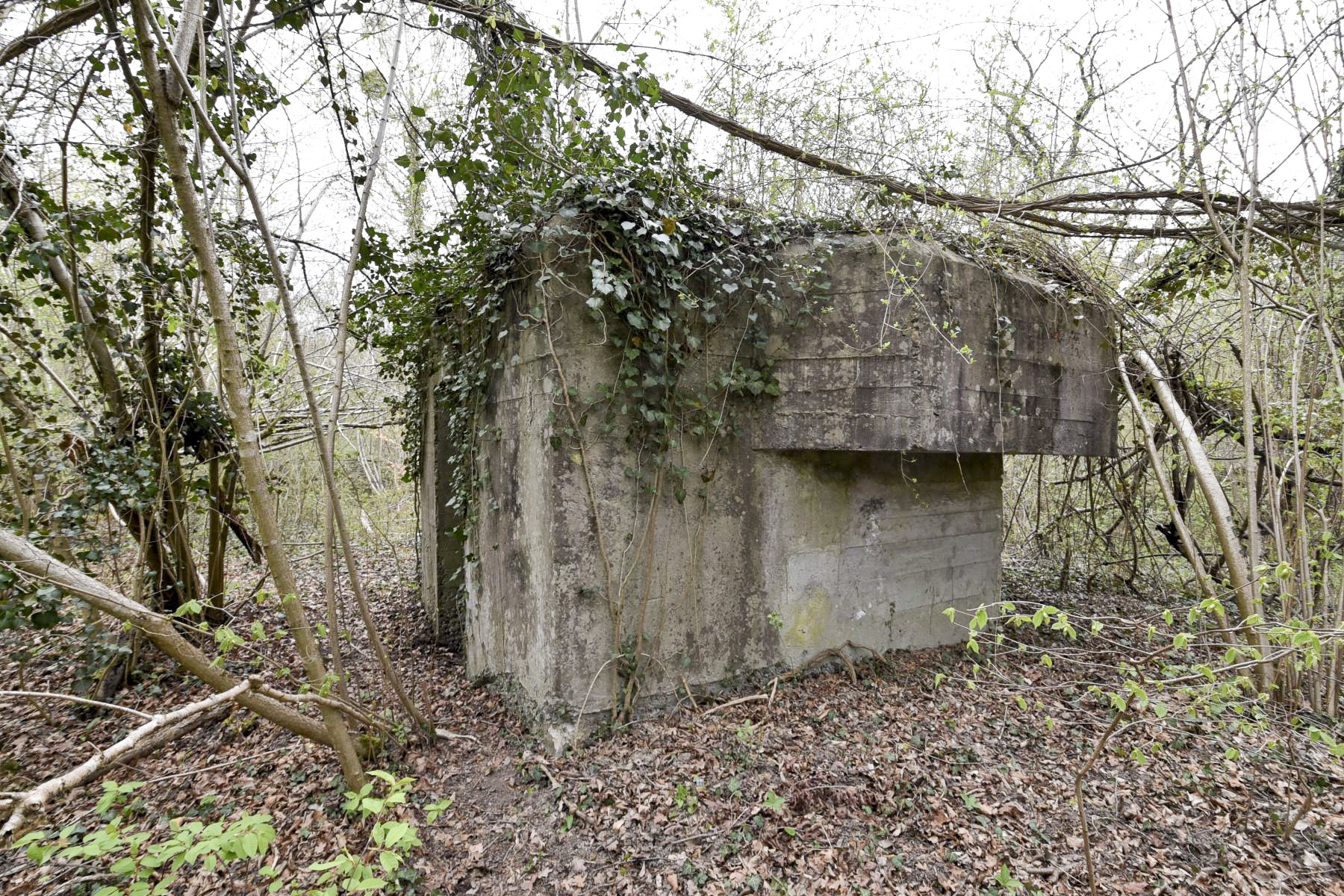 Ligne Maginot - RHIN TORTU 1 - (Blockhaus pour arme infanterie) -  - Ludovic KNAPP
