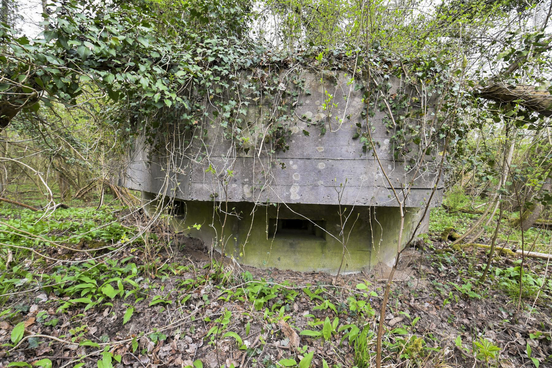 Ligne Maginot - RHIN TORTU 2 - (Blockhaus pour arme infanterie) -  - Ludovic KNAPP