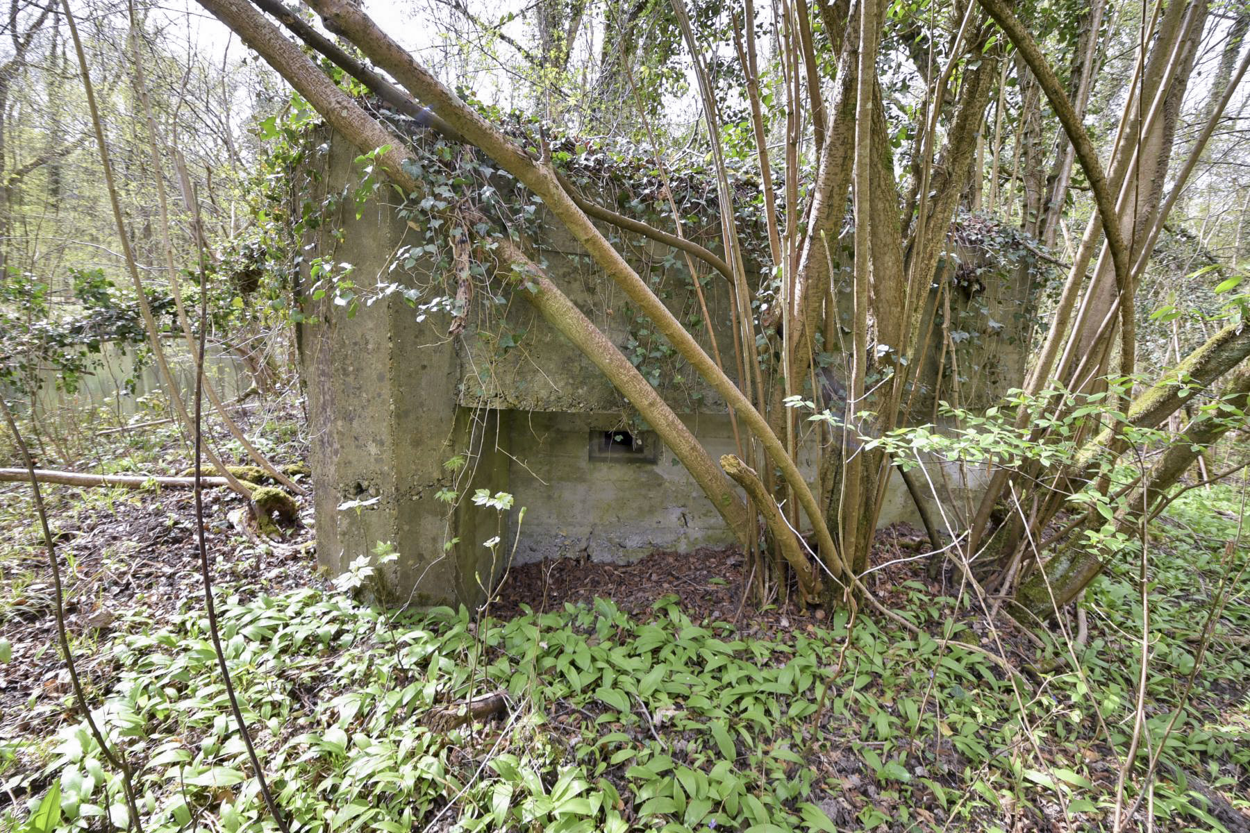 Ligne Maginot - RHIN TORTU 2 - (Blockhaus pour arme infanterie) -  - Ludovic KNAPP