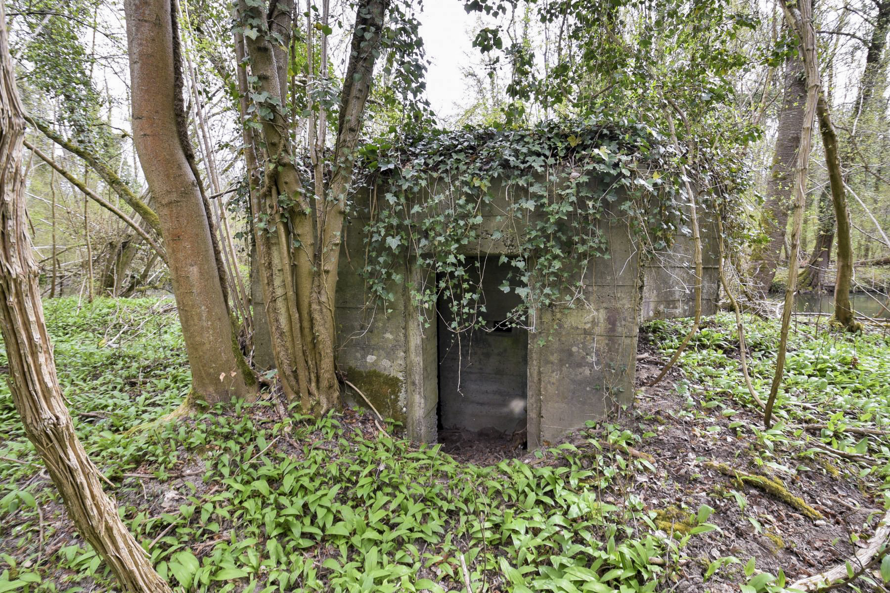 Ligne Maginot - RHIN TORTU 2 - (Blockhaus pour arme infanterie) -  - Ludovic KNAPP
