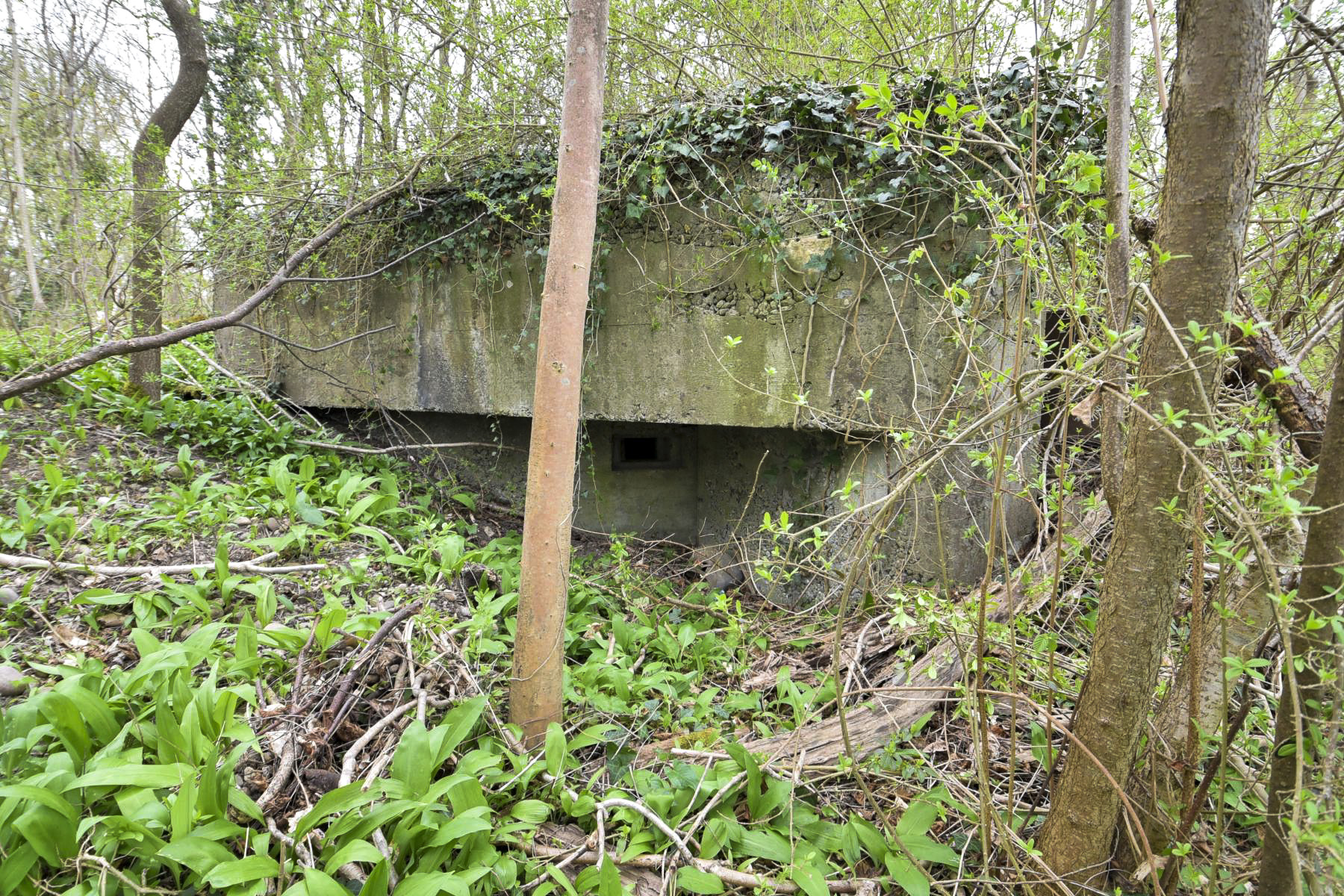 Ligne Maginot - RHIN TORTU 3 - (Blockhaus pour arme infanterie) -  - Ludovic KNAPP