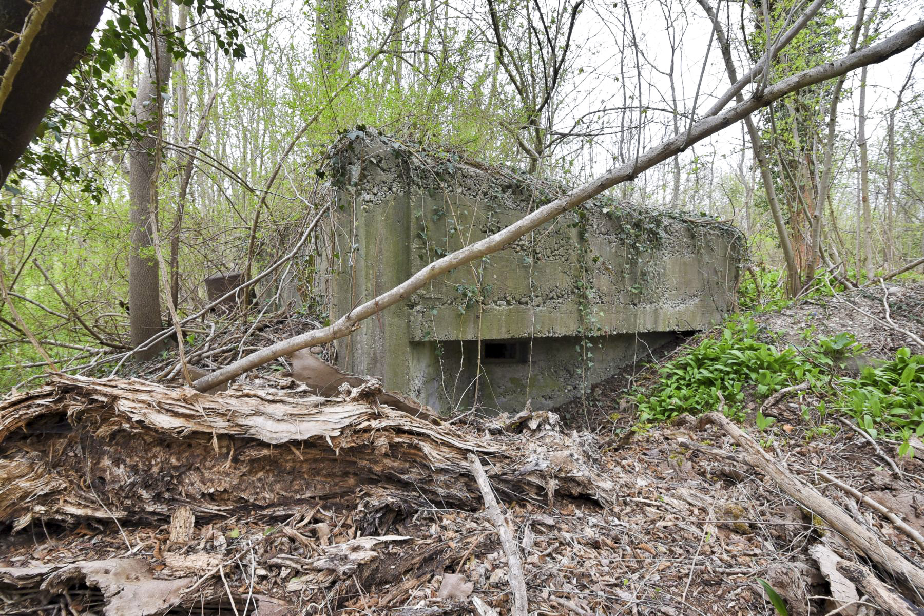 Ligne Maginot - RHIN TORTU 3 - (Blockhaus pour arme infanterie) -  - Ludovic KNAPP