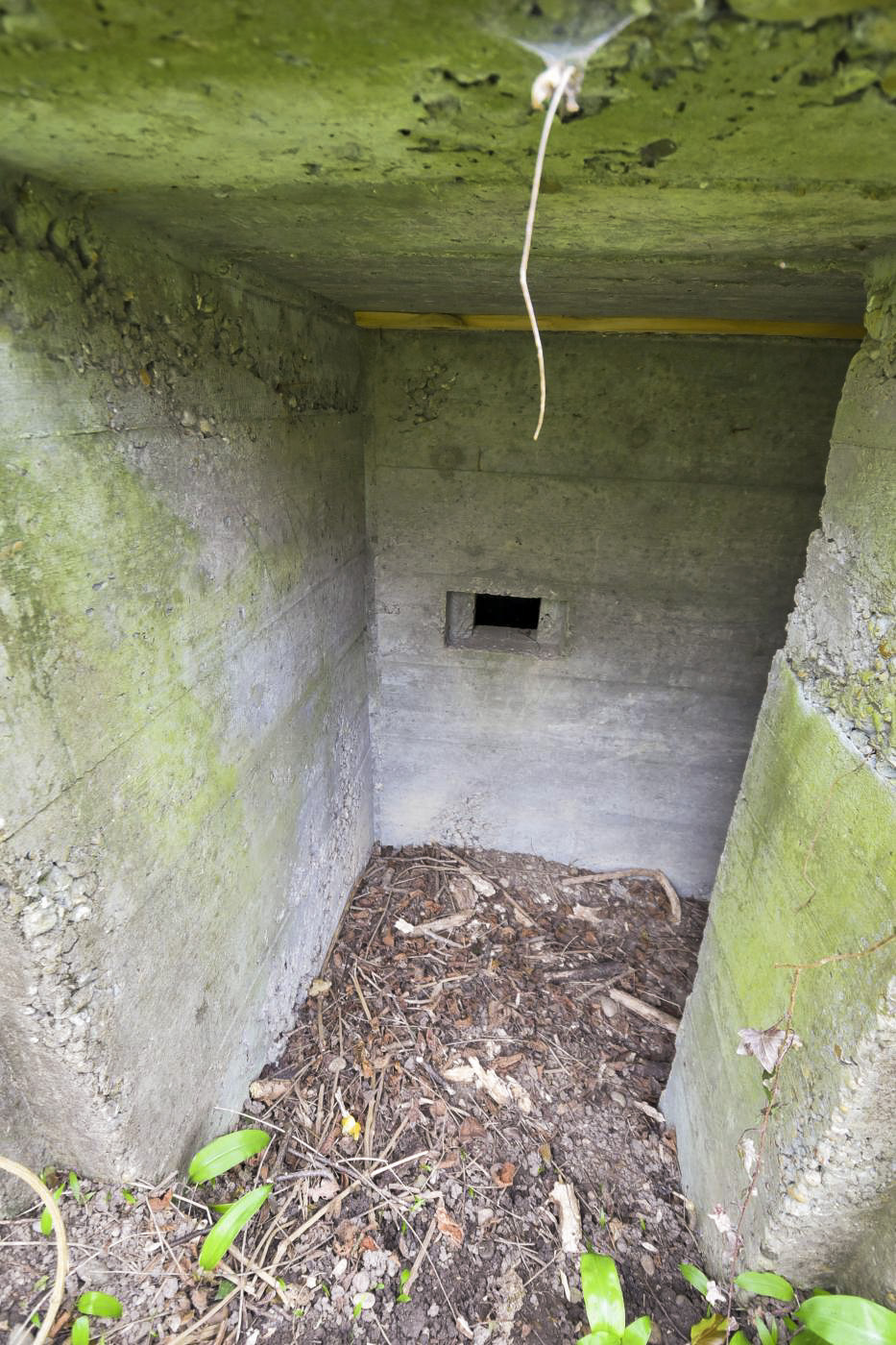 Ligne Maginot - RHIN TORTU 3 - (Blockhaus pour arme infanterie) -  - Ludovic KNAPP
