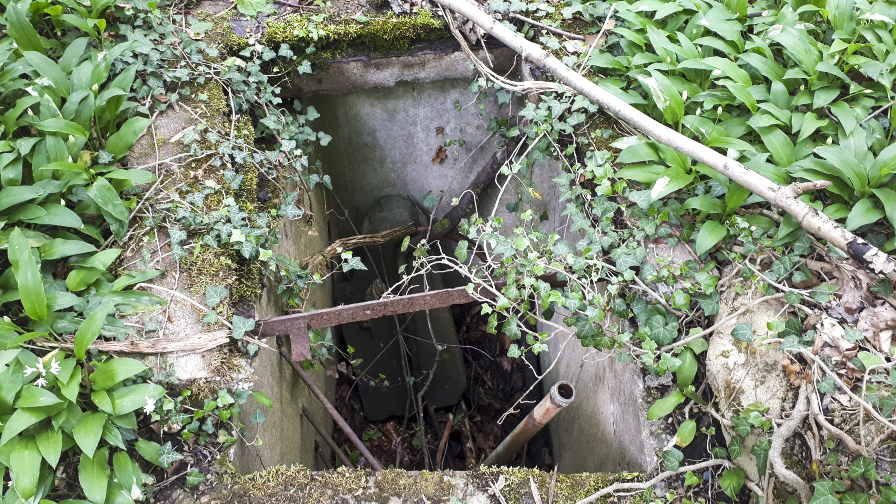 Ligne Maginot - SCHWARZWASSER - (Dépôt de Munitions) - Fosse technique - Gregory Fuchs